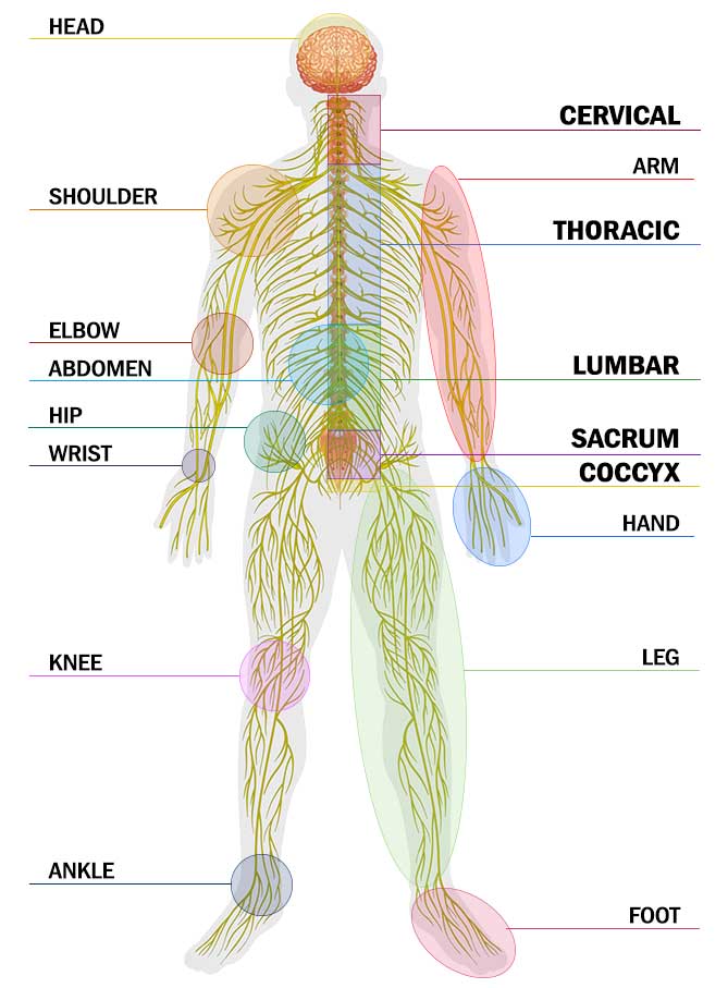 Procedures per anatomy area
